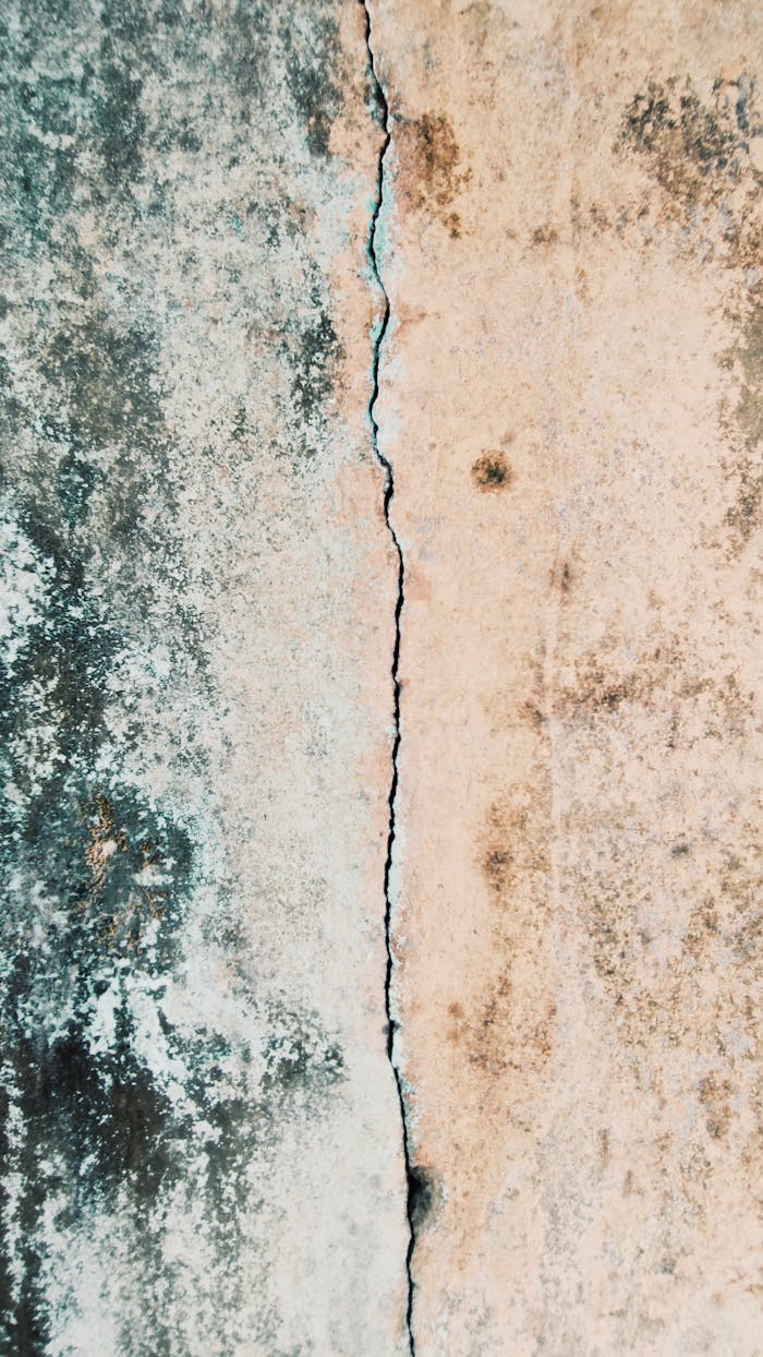 Close-up of an aged wall with intricate cracked texture, showcasing natural wear and stain patterns.
